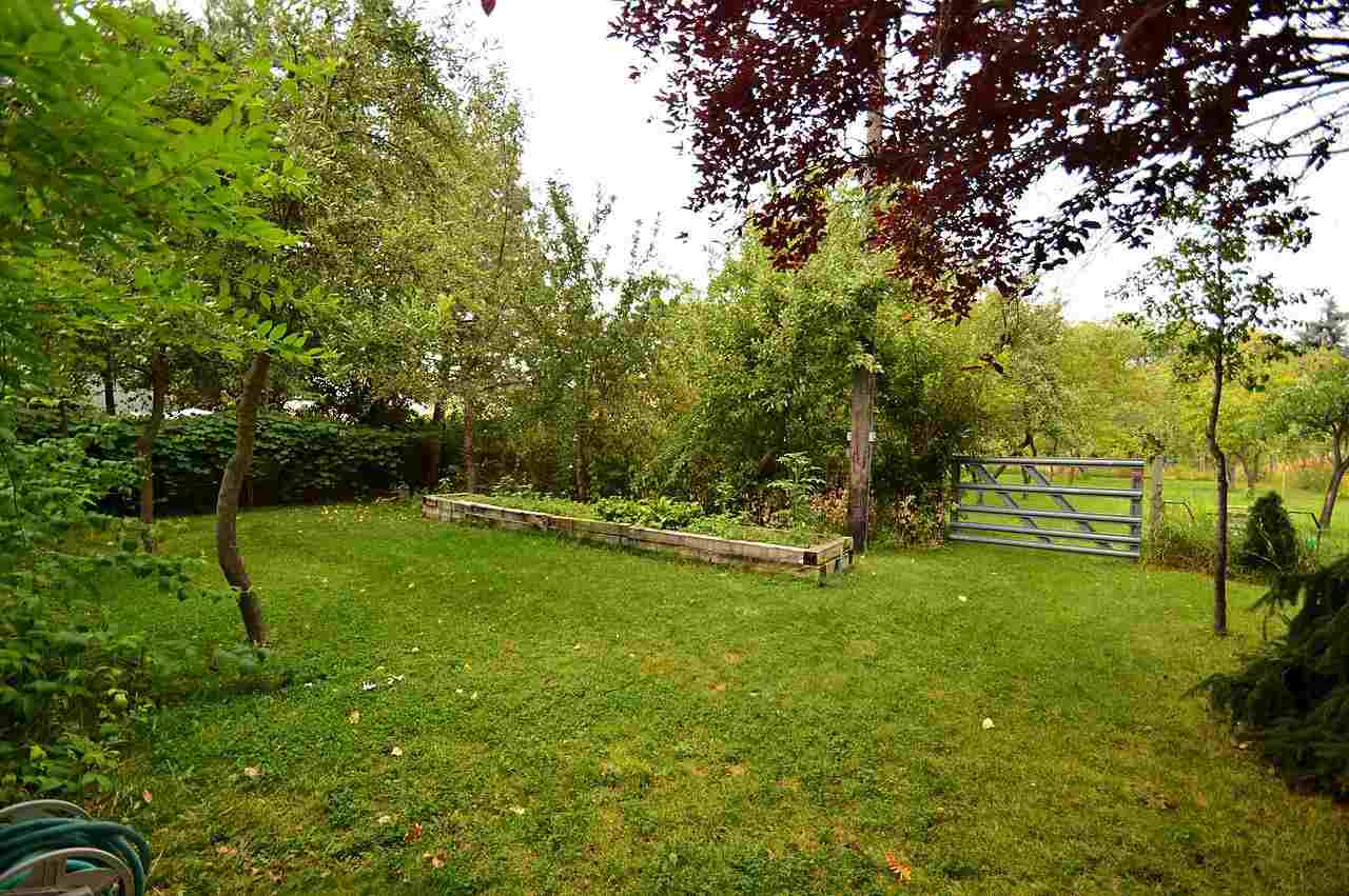 11703 E 8th - Photo 17