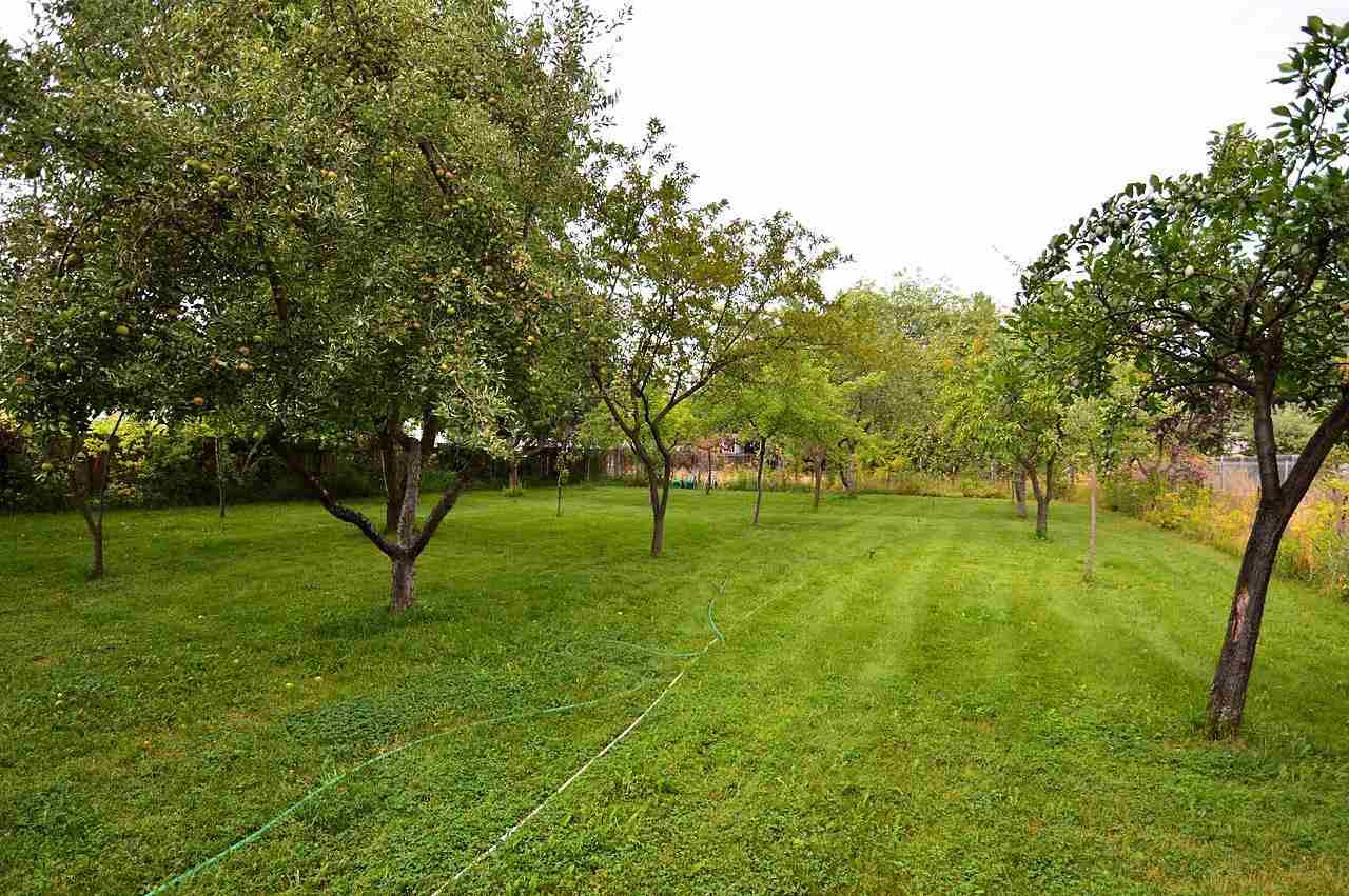 11703 E 8th - Photo 19