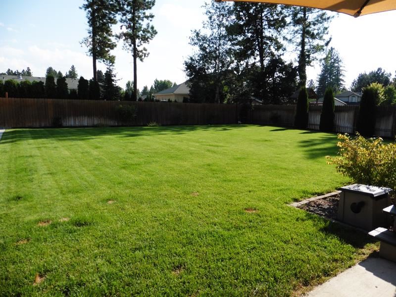 3808 E Siskin - Photo 11