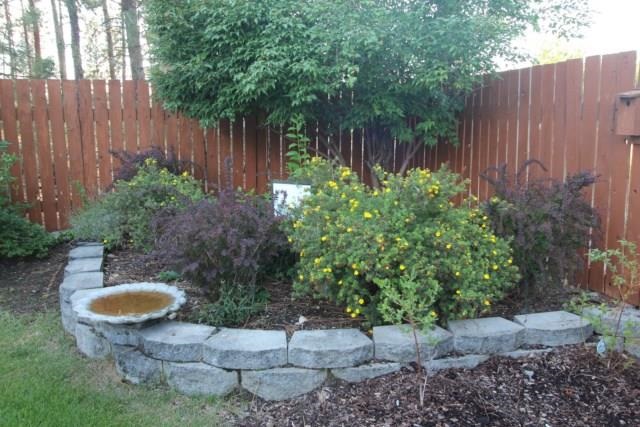 107 E Donna Ct - Photo 19