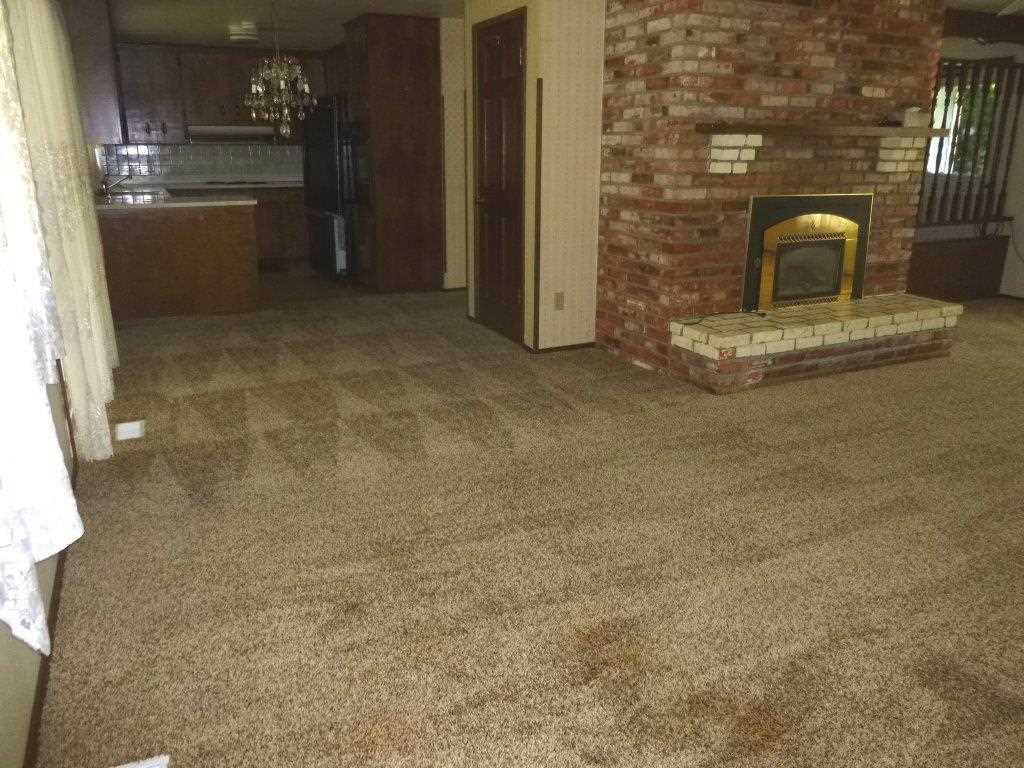 441 Gold Creek Loop Rd - Photo 4