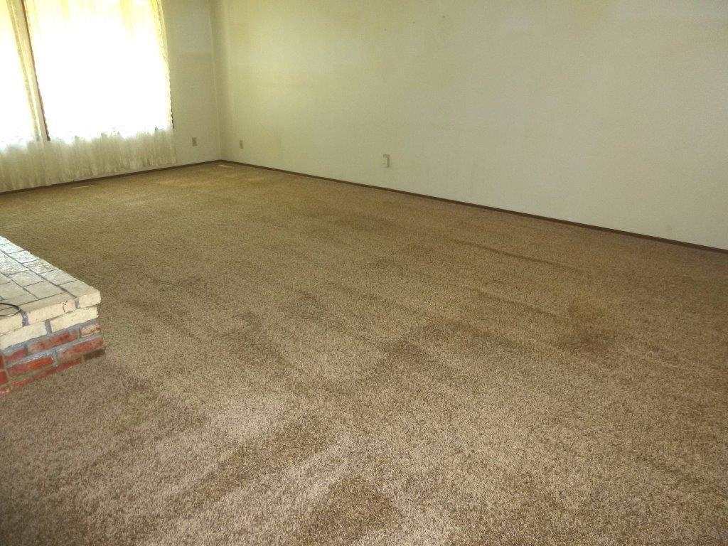 441 Gold Creek Loop Rd - Photo 5