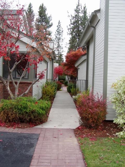 1218 E 30th Ave  #3 - Photo 14