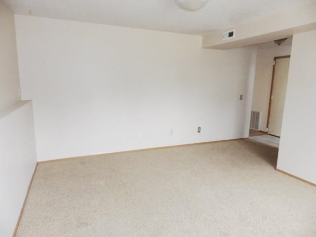 914 N Minnie St - Photo 13