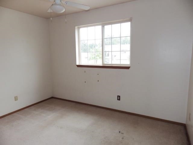 914 N Minnie St - Photo 7