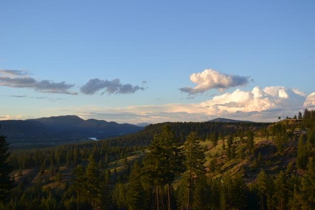 23215 W Long Lake Rd - Photo 6