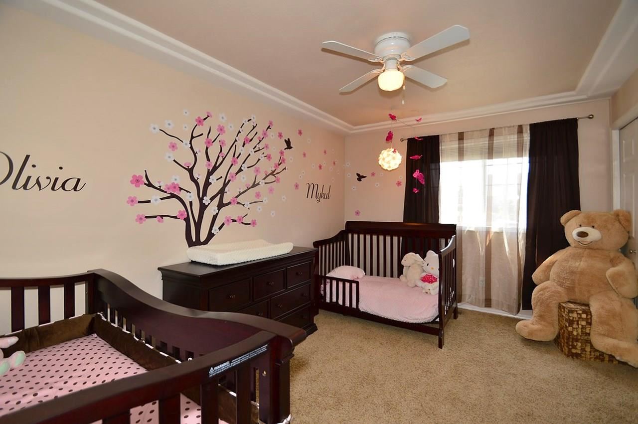 8116 N Marjorie - Photo 12