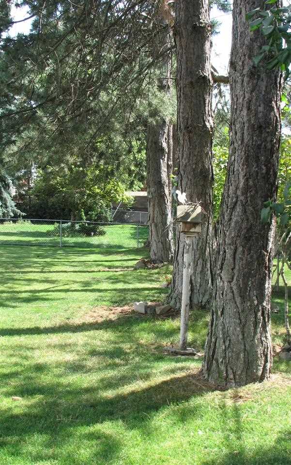 3739 W Indian Trail Rd - Photo 19