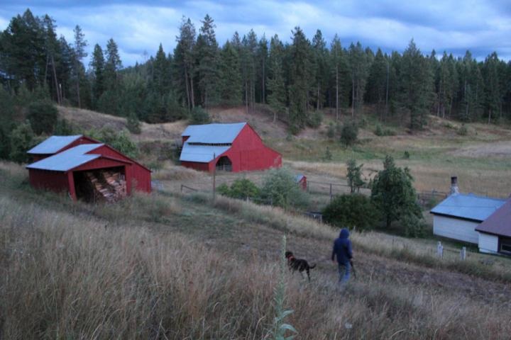 2471 EAGLE LAMBERT Rd - Photo 3