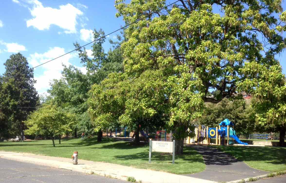1519 W Alice - Photo 14