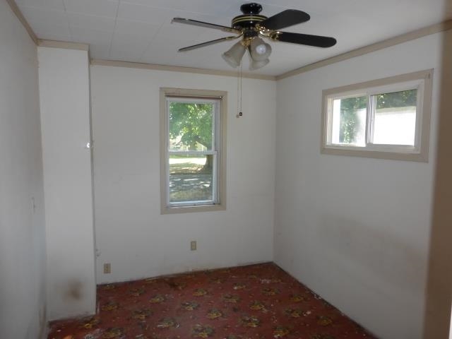 508 S Haven St. - Photo 16