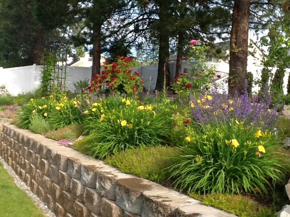 807 E Upper Terrace Ln - Photo 19