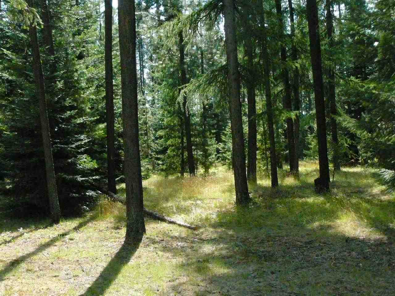 4631A N Swenson Rd - Photo 16