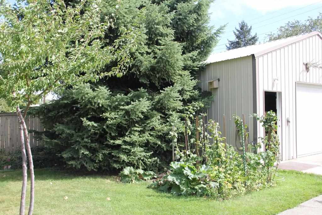 1804 E Sinto Ave - Photo 16
