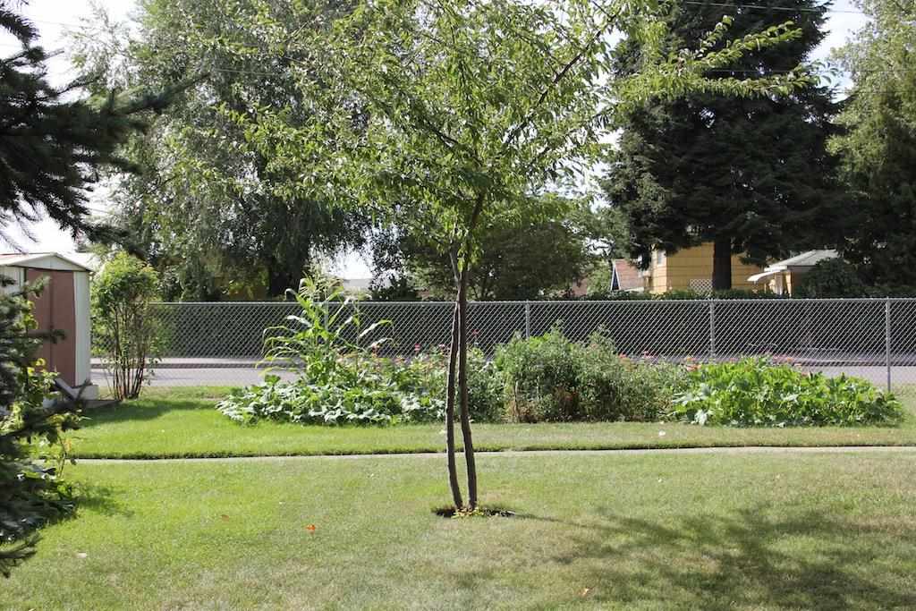1804 E Sinto Ave - Photo 18