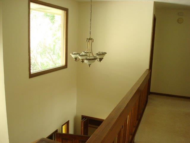 1204 E Woodglen - Photo 11