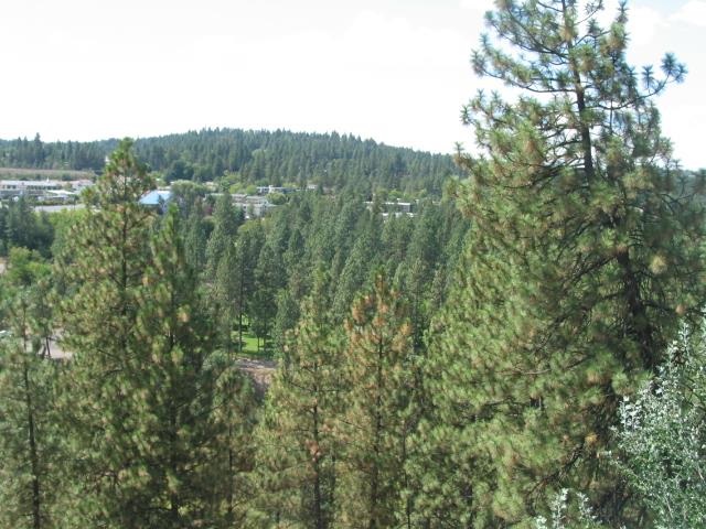 438 S COEUR D'ALENE St - Photo 19