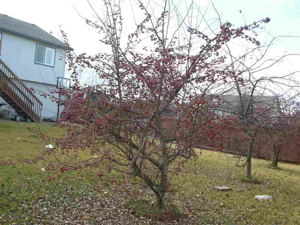 18511 E 9TH Ct - Photo 19