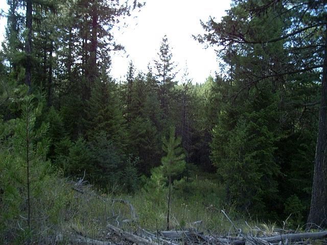 113 Beaver Valley - Photo 16