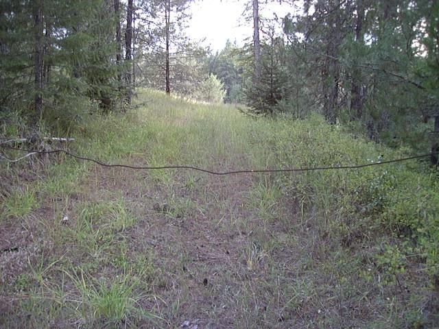 113 Beaver Valley - Photo 18