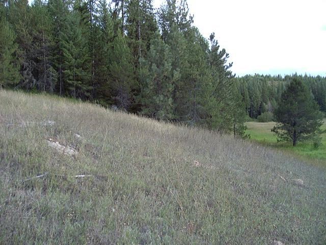 113 Beaver Valley - Photo 20