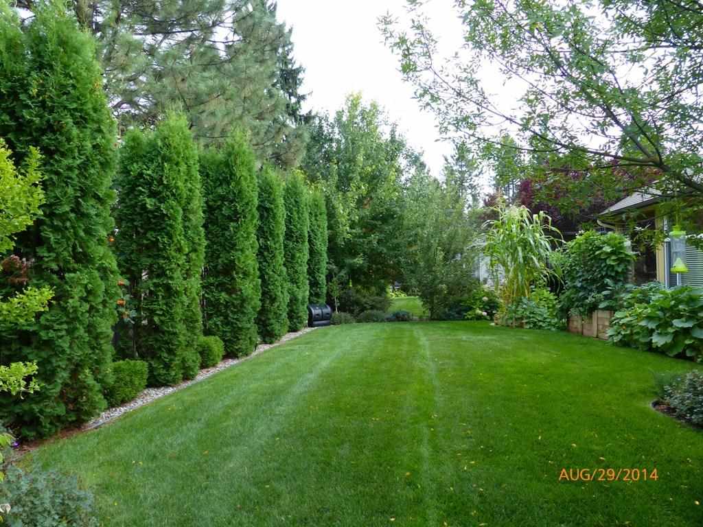 5621 S Hogan Ln - Photo 16