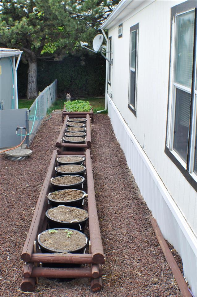304 S Conklin Rd #49 - Photo 4