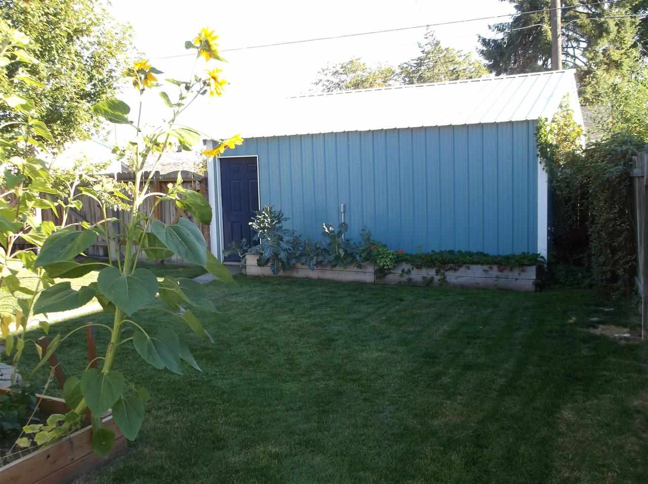 2617 W Dalton - Photo 3