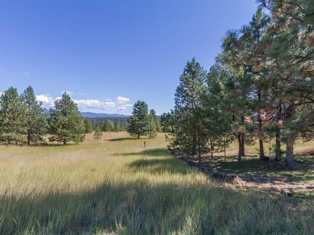 1717 E Whispering Springs Ln - Photo 19