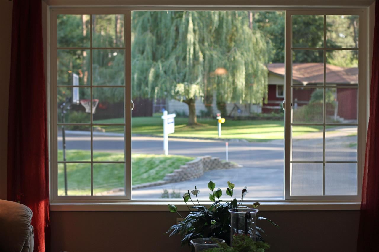 1115 E Greenleaf - Photo 6