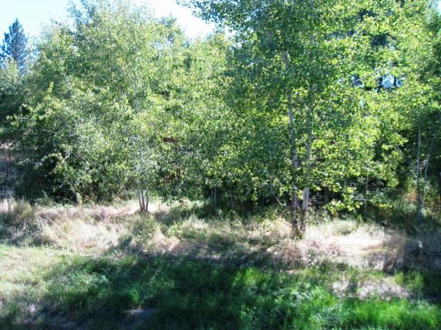 13525 S Sherman Rd - Photo 19