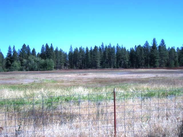 13525 S Sherman Rd - Photo 6