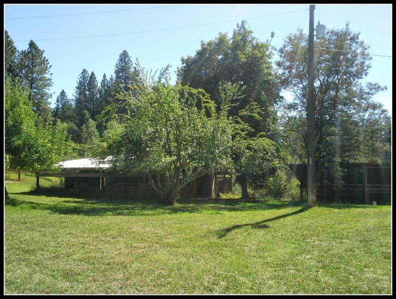 169 A E Cedar Loop Rd - Photo 3