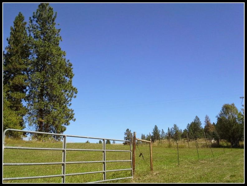 169 A E Cedar Loop Rd - Photo 4
