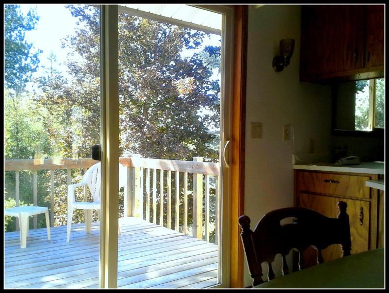 169 A E Cedar Loop Rd - Photo 8