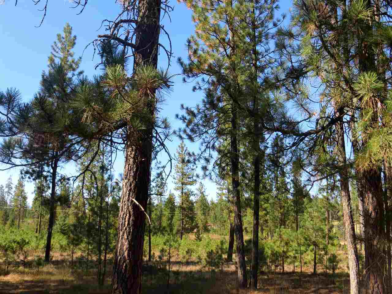 4400 Hwy 231 S - Photo 3