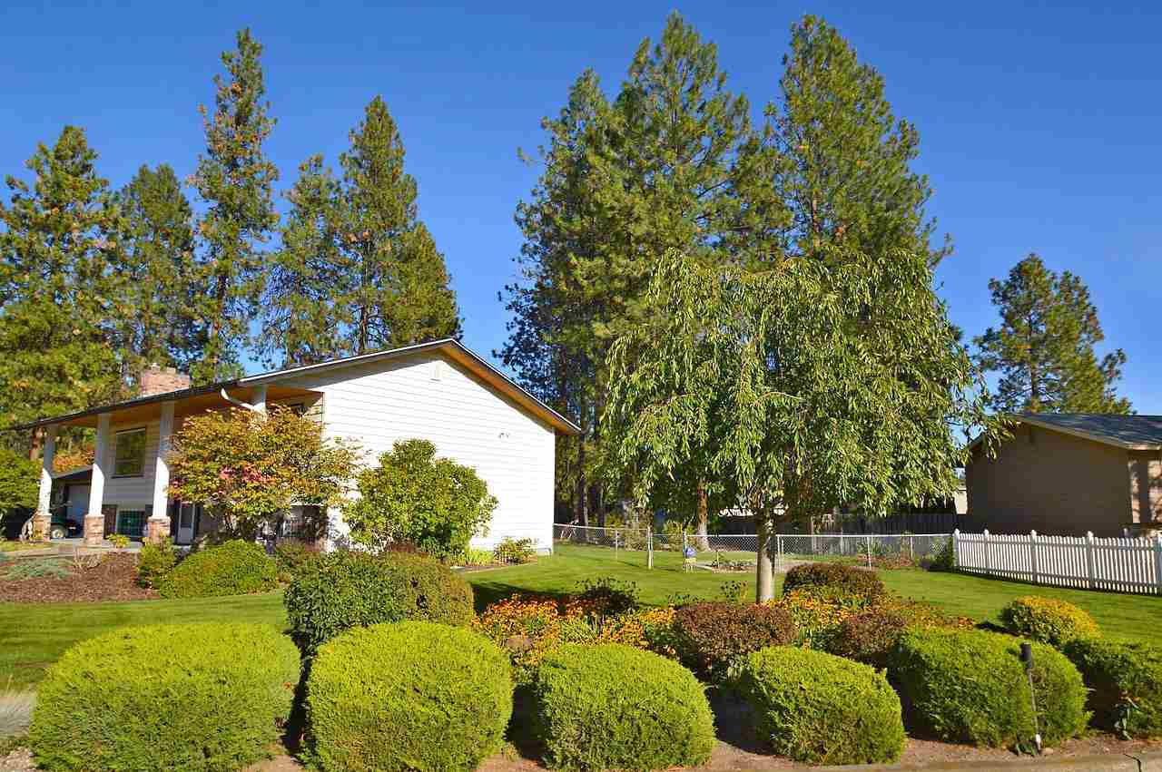 310 E Elto - Photo 19