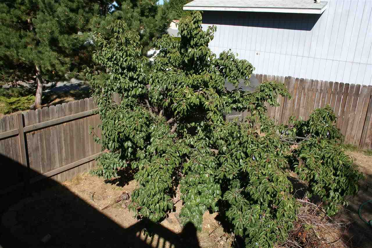 4204 E 13th Ave - Photo 15