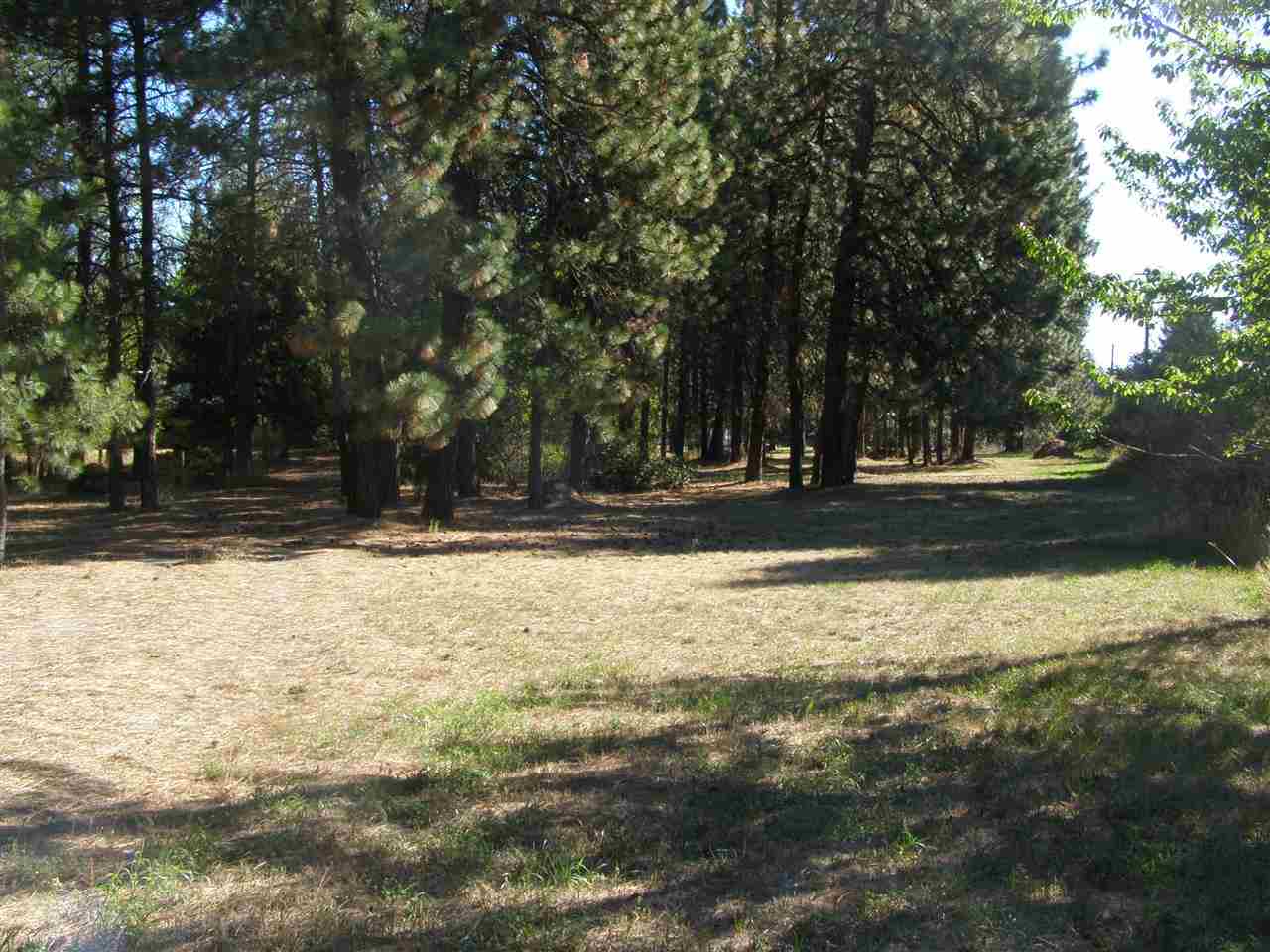 9010 N Wall St - Photo 8