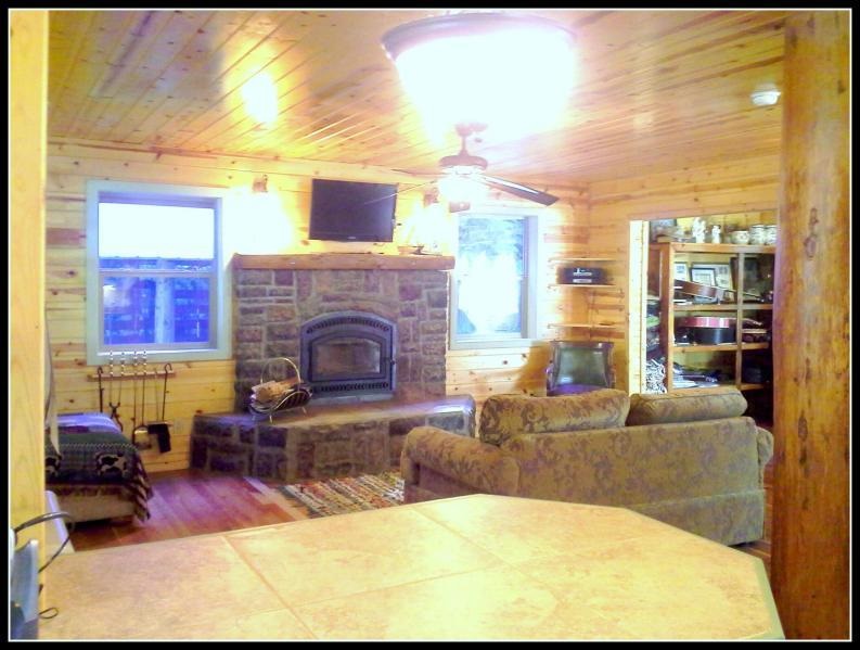 1100 Clugston Onion Creek Rd - Photo 10