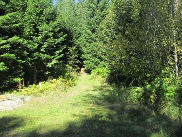1013 Valley View Dr - Photo 5