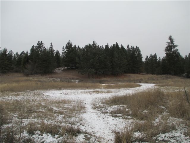 4271 Lumberg - Photo 12