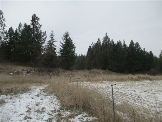 4271 Lumberg - Photo 15