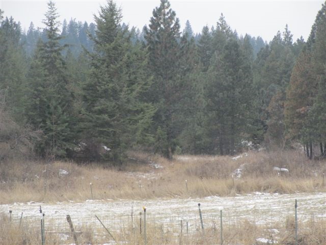 4271 Lumberg - Photo 7