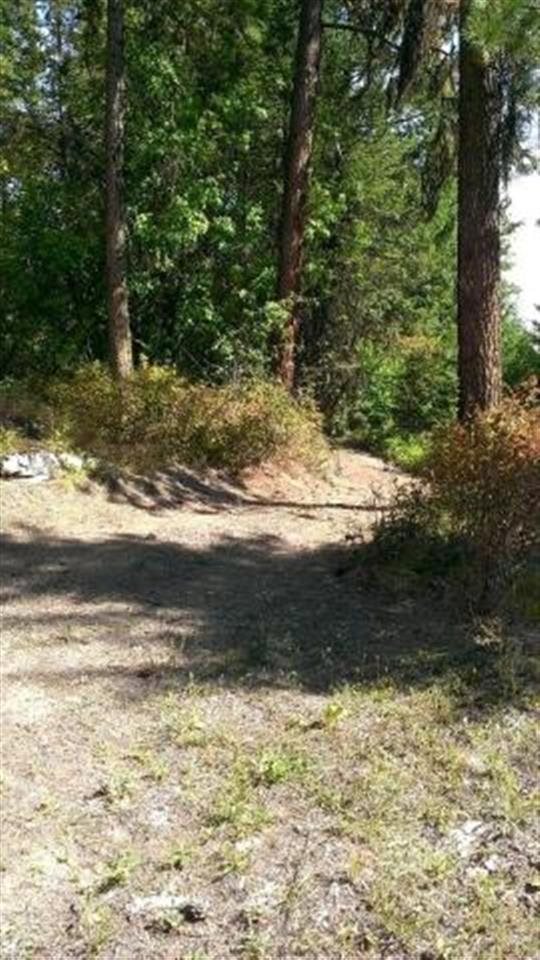 34 Jackknife Cutoff Rd - Photo 18