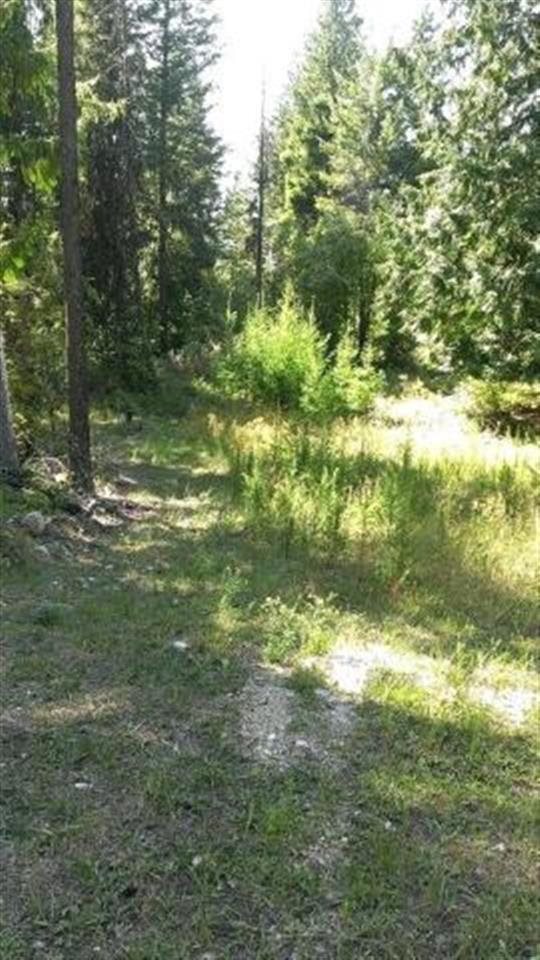 34 Jackknife Cutoff Rd - Photo 19
