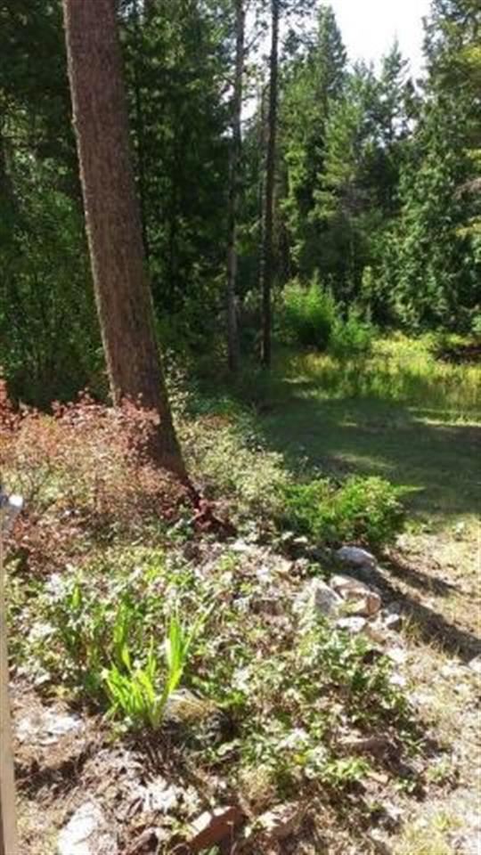 34 Jackknife Cutoff Rd - Photo 3