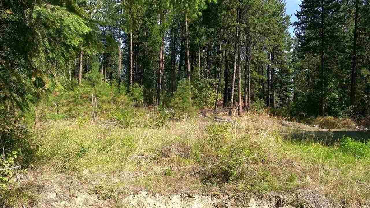 34 Jackknife Cutoff Rd - Photo 4