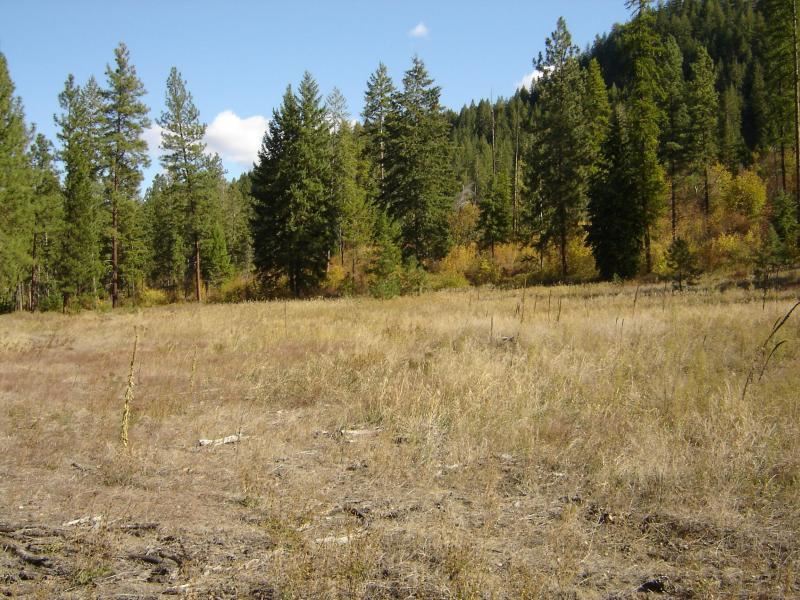 2425 N Hwy 25 - Photo 11