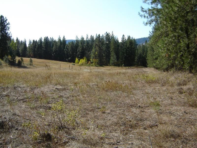 2425 N Hwy 25 - Photo 12